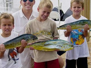 fish