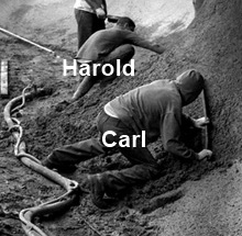 Carl works hard. So does Harold.
